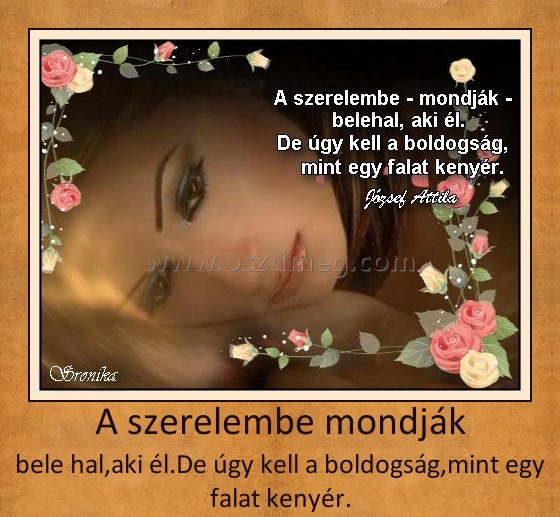 A szerelembe mondják
 
bele hal,aki él.De úgy kell a boldogság,mint egy falat kenyér.