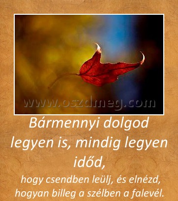 Bármennyi dolgod legyen is, mindig legyen időd,
 
 hogy csendben leülj, és elnézd, hogyan billeg a szélben a falevél.