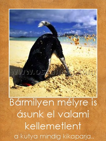 Bármilyen mélyre is ásunk el valami kellemetlent
 
 a kutya mindig kikaparja..