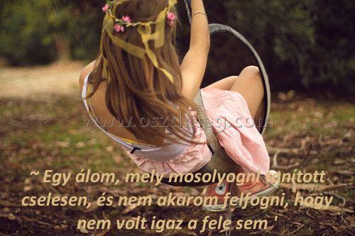 ~ Egy álom
 
~ Egy álom, mely mosolyogni tanított cselesen, és nem akarom felfogni, hogy nem volt igaz a fele sem '