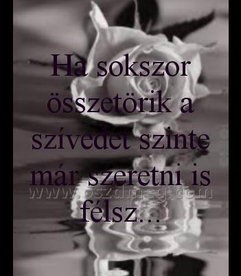 Ha sokszor összetörik a
 
Ha sokszor összetörik a szívedet szinte már szeretni is félsz...