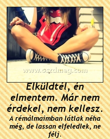 Elküldtél, én elmentem. Már nem érdekel, nem kellesz.
 
A rémálmaimban látlak néha még, de lassan elfeledlek, ne félj.