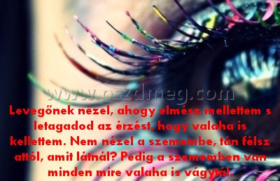 Levegőnek nézel
 
Levegőnek nézel, ahogy elmész mellettem s letagadod az érzést, hogy valaha is kellettem. Nem nézel a szemembe, tán félsz attól, amit látnál? Pedig a szememben van minden mire valaha is vágytál.