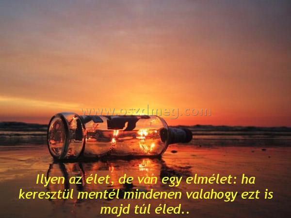 Ilyen az élet
 
Ilyen az élet, de van egy elmélet: ha keresztül mentél mindenen valahogy ezt is majd túl éled..