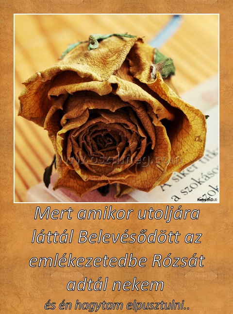 Mert amikor utoljára
 
és én hagytam elpusztulni..