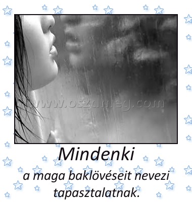 Mindenki Mindenki
a maga baklövéseit nevezi tapasztalatnak.