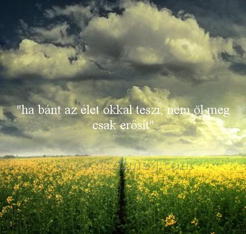 "ha bánt az élet
 
