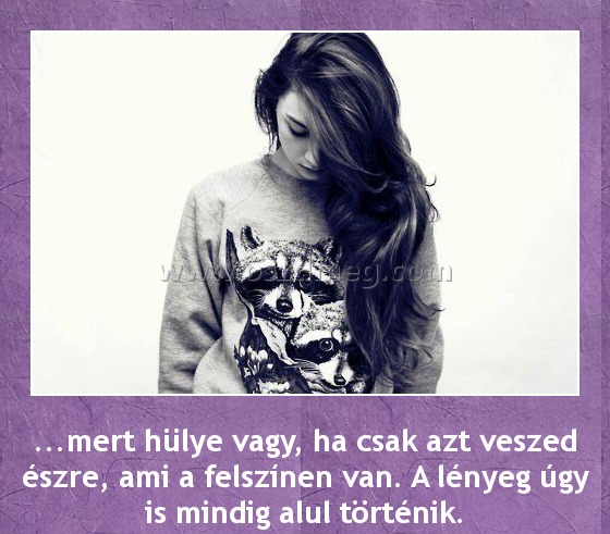 Mert hülye vagy
 
...mert hülye vagy, ha csak azt veszed észre, ami a felszínen van. A lényeg úgy is mindig alul történik.