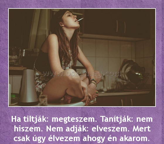 Ha tiltják: megteszem
 
Ha tiltják: megteszem. Tanítják: nem hiszem. Nem adják: elveszem. Mert csak úgy élvezem ahogy én akarom.