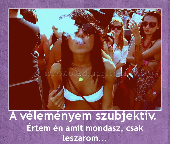 A véleményem szubjektív. 
 
Értem én amit mondasz, csak leszarom...