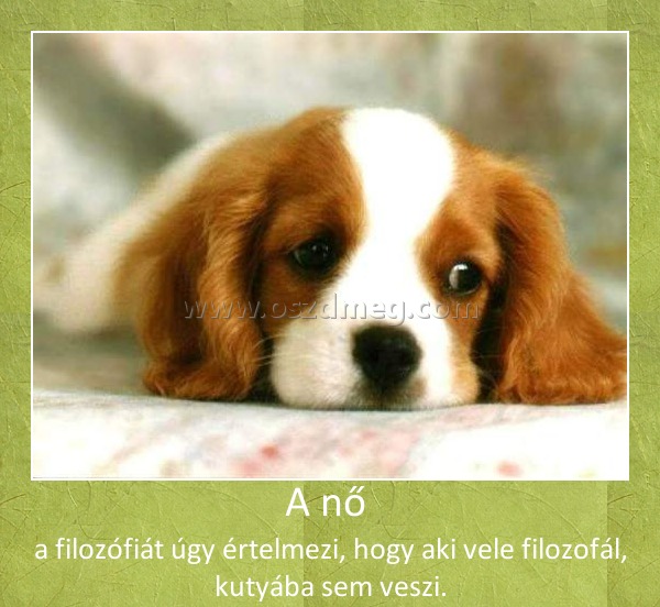 A nő 
 
a filozófiát úgy értelmezi, hogy aki vele filozofál, kutyába sem veszi.
