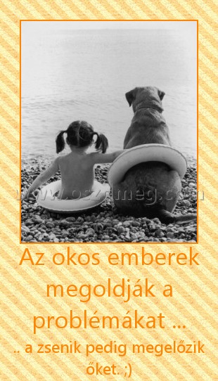 Az okos emberek megoldják a problémákat ...
 
.. a zsenik pedig megelőzik őket. ;)