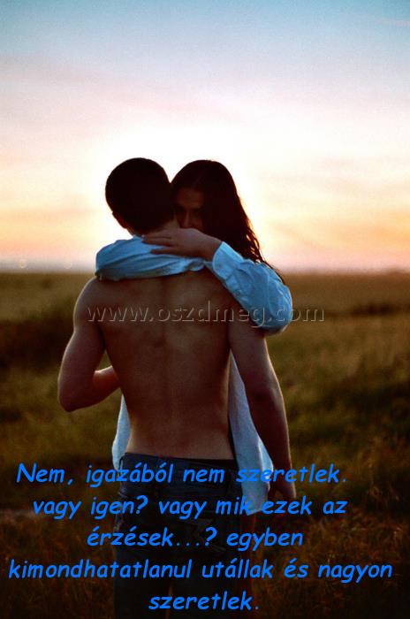 Nem
 
Nem, igazából nem szeretlek. vagy igen? vagy mik ezek az érzések...? egyben kimondhatatlanul utállak és nagyon szeretlek.