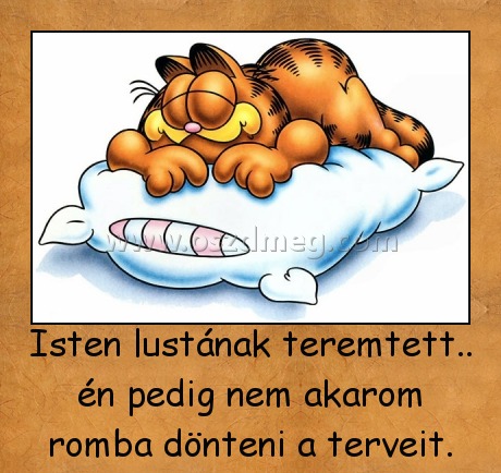 Isten lustának teremtett
 
