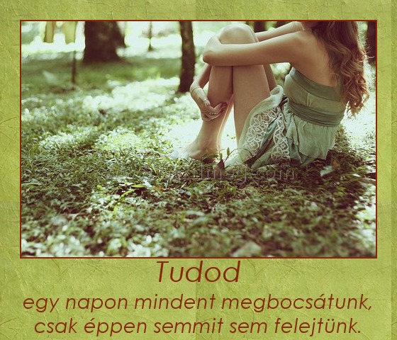 Tudod Tudod
egy napon mindent megbocsátunk, csak éppen semmit sem felejtünk.
