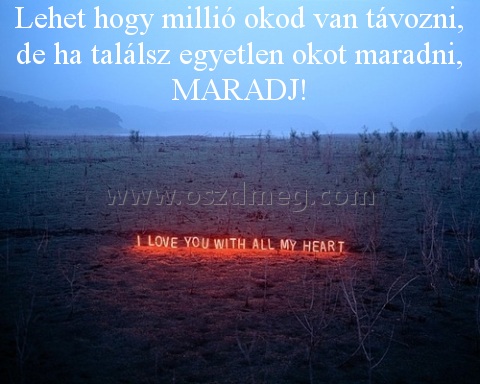 Lehet hogy millió okod
 
Lehet hogy millió okod van távozni, de ha találsz egyetlen okot maradni, MARADJ!