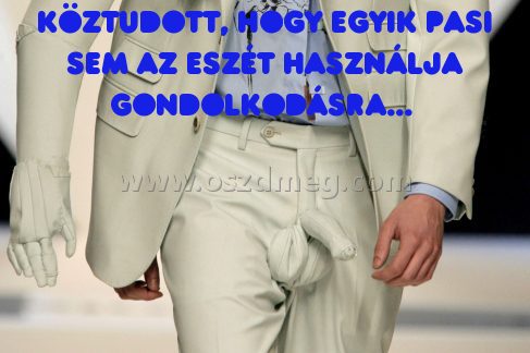 Köztudott
 
Köztudott, hogy egyik pasi sem az eszét használja gondolkodásra... 