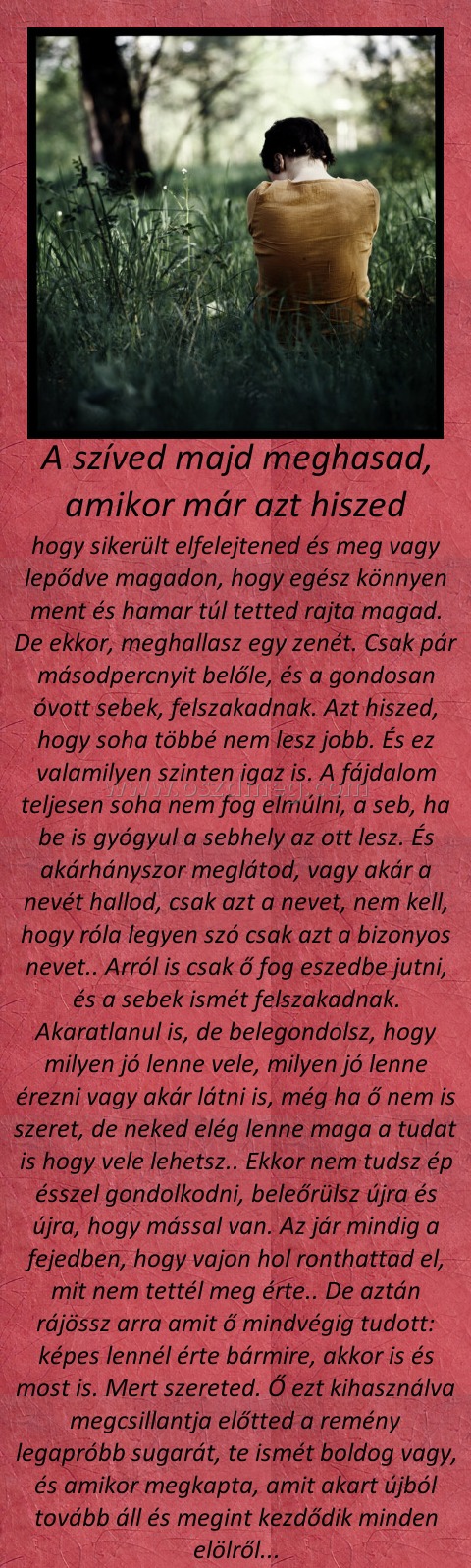 A szíved majd meghasad, amikor már azt hiszed
 
hogy sikerült elfelejtened és meg vagy lepődve magadon, hogy egész könnyen ment és hamar túl tetted rajta magad. De ekkor, meghallasz egy zenét. Csak pár másodpercnyit belőle, és a gondosan óvott sebek, felszakadnak. Azt hiszed, hogy soha többé nem lesz jobb. És ez valamilyen szinten igaz is. A fájdalom teljesen soha nem fog elmúlni, a seb, ha be is gyógyul a sebhely az ott lesz. És akárhányszor meglátod, vagy akár a nevét hallod, csak azt a nevet, nem kell, hogy róla legyen szó csak azt a bizonyos nevet.. Arról is csak ő fog eszedbe jutni, és a sebek ismét felszakadnak. Akaratlanul is, de belegondolsz, hogy milyen jó lenne vele, milyen jó lenne érezni vagy akár látni is, még ha ő nem is szeret, de neked elég lenne maga a tudat is hogy vele lehetsz.. Ekkor nem tudsz ép ésszel gondolkodni, beleőrülsz újra és újra, hogy mással van. Az jár mindig a fejedben, hogy vajon hol ronthattad el, mit nem tettél meg érte.. De aztán rájössz arra amit ő mindvégig tudott: képes lennél érte bármire, akkor is és most is. Mert szereted. Ő ezt kihasználva megcsillantja előtted a remény legapróbb sugarát, te ismét boldog vagy, és amikor megkapta, amit akart újból tovább áll és megint kezdődik minden elölről...