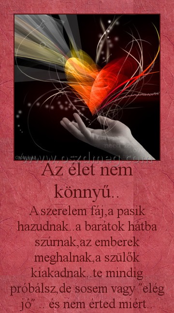 Az élet nem könnyű..
 
A szerelem fáj,a pasik hazudnak..a barátok hátba szúrnak,az emberek meghalnak,a szülők kiakadnak..te mindig próbálsz,de sosem vagy ˝elég jó˝ .. és nem érted miért..