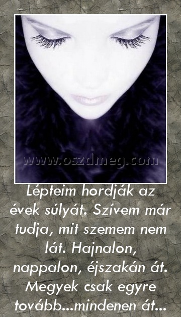 Lépteim hordják az évek súlyát. Szívem már tudja, mit szemem nem lát. Hajnalon, nappalon, éjszakán át. Megyek csak egyre tovább...mindenen át...
 
