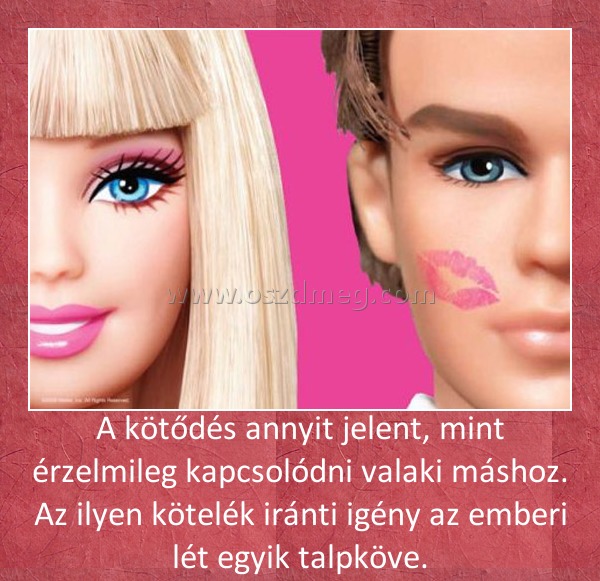A kötődés
 
