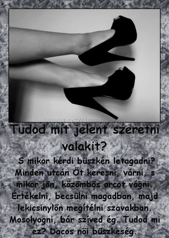 Tudod mit jelent szeretni valakit?
 
 S mikor kérdi büszkén letagadni? Minden utcán Őt keresni, várni, s mikor jön, közömbös arcot vágni. Értékelni, becsülni magadban, majd lekicsinylőn megítélni szavakban. Mosolyogni, bár szíved ég. Tudod mi ez? Dacos női büszkeség.