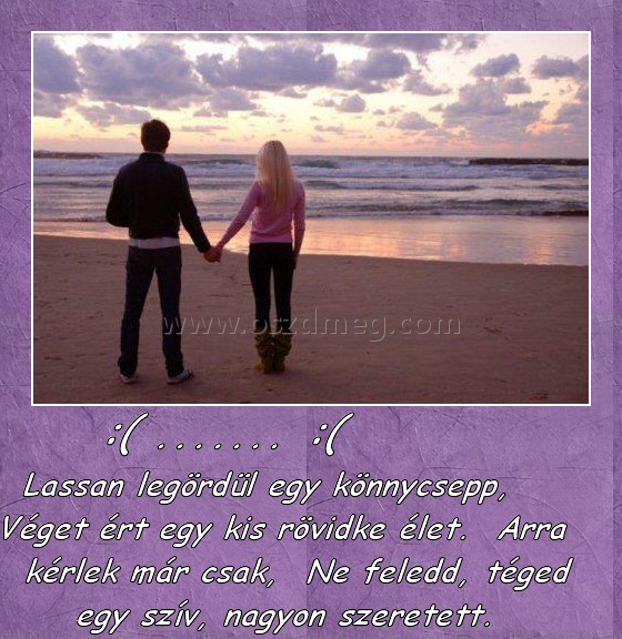 :( ....... :(
 
 Lassan legördül egy könnycsepp,  Véget ért egy kis rövidke élet.  Arra kérlek már csak,  Ne feledd, téged egy szív, nagyon szeretett.    