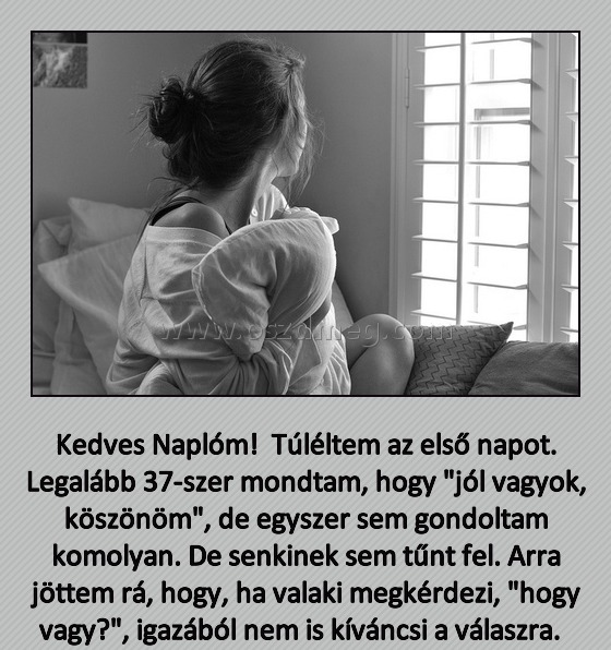 
 
Kedves Naplóm!  Túléltem az első napot. Legalább 37-szer mondtam, hogy 