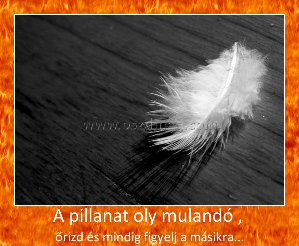 A pillanat oly mulandó , 
 
őrizd és mindig figyelj a másikra...