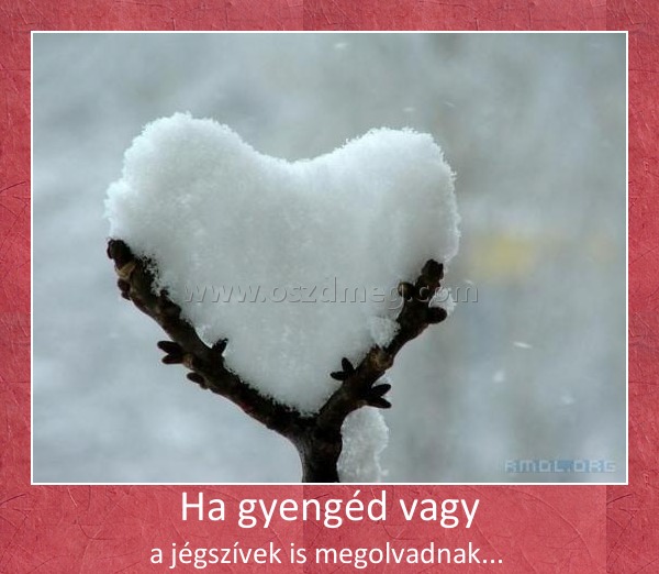 Ha gyengéd vagy
 
a jégszívek is megolvadnak... 
