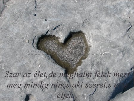Szar az élet
 
Szar az élet,de meghalni félek mert még mindig nincs aki szeret,s érte éljek..
