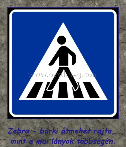 Zebra
 
Zebra - bárki átmehet rajta, mint a mai lányok többségén.