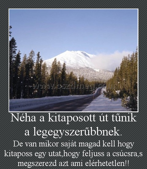 Néha a kitaposott út tűnik a legegyszerűbbnek.
 
De van mikor saját magad kell hogy kitaposs egy utat,hogy feljuss a csúcsra,s megszerezd azt ami elérhetetlen!!