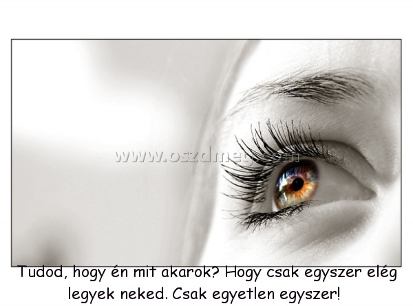 Tudod
 
Tudod, hogy én mit akarok? Hogy csak egyszer elég legyek neked. Csak egyetlen egyszer! 