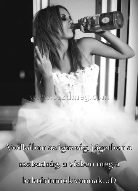 Vodkában az igazság
 
Vodkában az igazság, jägerben a szabadság, a vízben meg a baktériumok vannak..:D