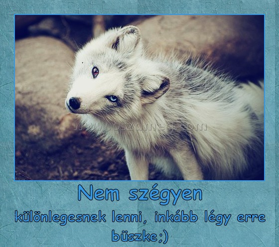 Nem szégyen Nem szégyen
különlegesnek lenni, inkább légy erre büszke;)