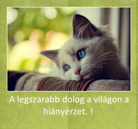 A legszarabb dolog a világon a hiányérzet. ! 
 
