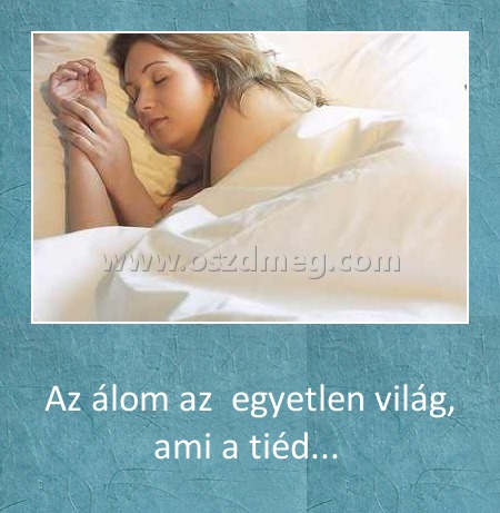 Az álom
 
Az álom az  egyetlen világ, ami a tiéd... 