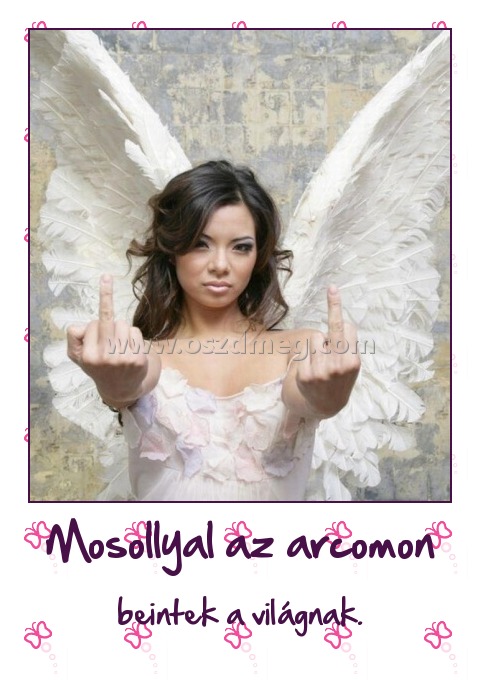 Mosollyal az arcomon
 
beintek a világnak.