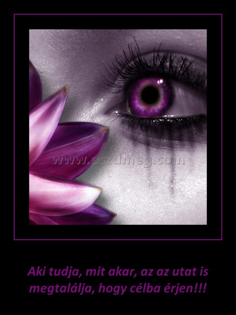Aki tudja mit akar
 
Aki tudja, mit akar, az az utat is megtalálja, hogy célba érjen!!!