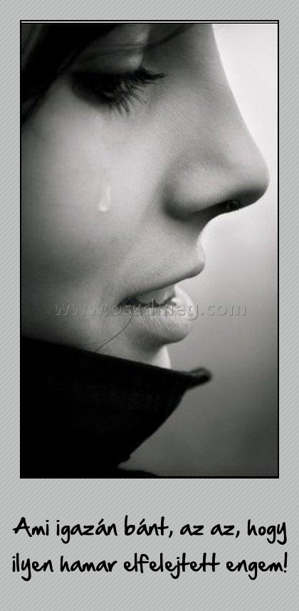 Ami igazán bánt
 
Ami igazán bánt, az az, hogy ilyen hamar elfelejtett engem!