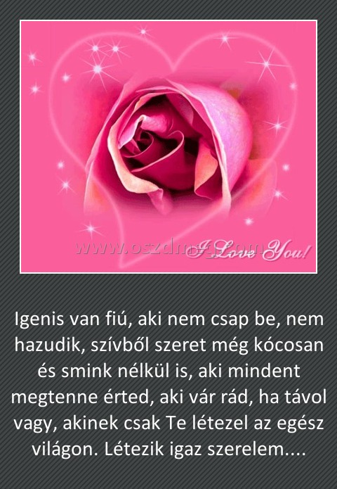 Igenis van
 
Igenis van fiú, aki nem csap be, nem hazudik, szívből szeret még kócosan és smink nélkül is, aki mindent megtenne érted, aki vár rád, ha távol vagy, akinek csak Te létezel az egész világon. Létezik igaz szerelem....