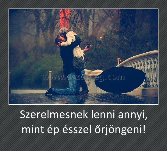 Szerelmesnek lenni annyi, mint ép ésszel őrjöngeni!
 
