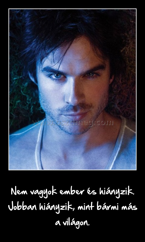 Nem vagyok ember és hiányzik
 
Nem vagyok ember és hiányzik. Jobban hiányzik, mint bármi más a világon.