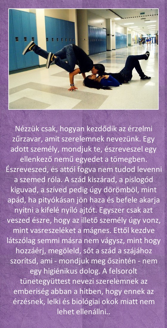 Nézzük csak
 
Nézzük csak, hogyan kezdődik az érzelmi zűrzavar, amit szerelemnek nevezünk. Egy adott személy, mondjuk te, észreveszel egy ellenkező nemű egyedet a tömegben. Észreveszed, és attól fogva nem tudod levenni a szemed róla. A szád kiszárad, a pislogód kiguvad, a szíved pedig úgy dörömböl, mint apád, ha pityókásan jön haza és befele akarja nyitni a kifelé nyíló ajtót. Egyszer csak azt veszed észre, hogy az illető személy úgy vonz, mint vasreszeléket a mágnes. Ettől kezdve látszólag semmi másra nem vágysz, mint hogy hozzáérj, megöleld, sőt a szád a szájához szorítsd, ami - mondjuk meg őszintén - nem egy higiénikus dolog. A felsorolt tünetegyüttest nevezi szerelemnek az emberiség abban a hitben, hogy ennek az érzésnek, lelki és biológiai okok miatt nem lehet ellenállni..