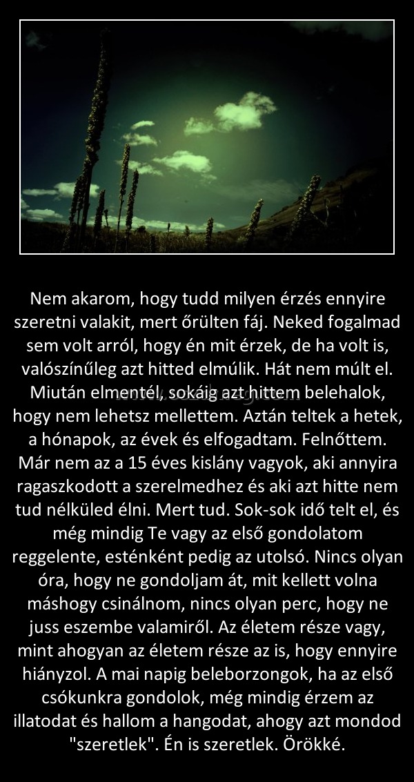 Nem akarom
 
Nem akarom, hogy tudd milyen érzés ennyire szeretni valakit, mert őrülten fáj. Neked fogalmad sem volt arról, hogy én mit érzek, de ha volt is, valószínűleg azt hitted elmúlik. Hát nem múlt el. Miután elmentél, sokáig azt hittem belehalok, hogy nem lehetsz mellettem. Aztán teltek a hetek, a hónapok, az évek és elfogadtam. Felnőttem. Már nem az a 15 éves kislány vagyok, aki annyira ragaszkodott a szerelmedhez és aki azt hitte nem tud nélküled élni. Mert tud. Sok-sok idő telt el, és még mindig Te vagy az első gondolatom reggelente, esténként pedig az utolsó. Nincs olyan óra, hogy ne gondoljam át, mit kellett volna máshogy csinálnom, nincs olyan perc, hogy ne juss eszembe valamiről. Az életem része vagy, mint ahogyan az életem része az is, hogy ennyire hiányzol. A mai napig beleborzongok, ha az első csókunkra gondolok, még mindig érzem az illatodat és hallom a hangodat, ahogy azt mondod 