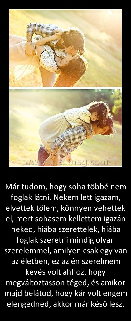 Már tudom
 
Már tudom, hogy soha többé nem foglak látni. Nekem lett igazam, elvettek tőlem, könnyen vehettek el, mert sohasem kellettem igazán neked, hiába szerettelek, hiába foglak szeretni mindig olyan szerelemmel, amilyen csak egy van az életben, ez az én szerelmem kevés volt ahhoz, hogy megváltoztasson téged, és amikor majd belátod, hogy kár volt engem elengedned, akkor már késő lesz.