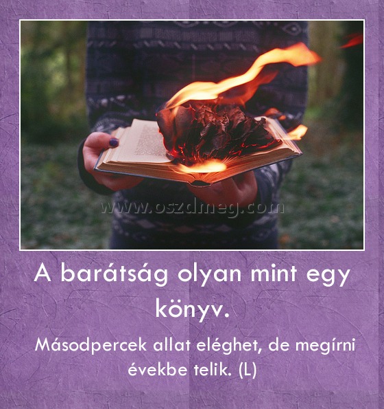 A barátság olyan mint egy könyv.
 
 Másodpercek allat eléghet, de megírni évekbe telik. (L)