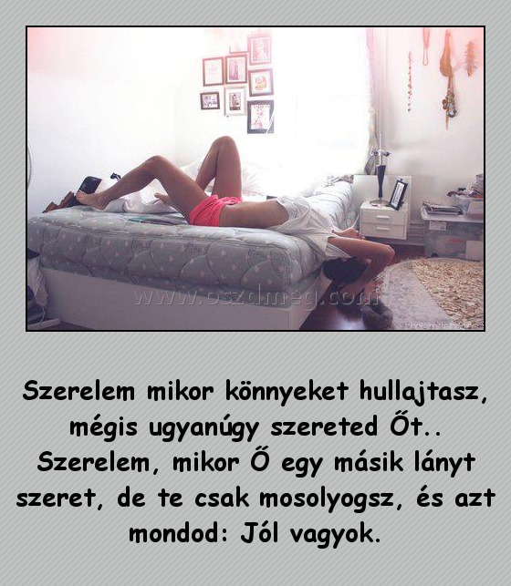 Szerelem mikor könnyeket hullajtasz
 
