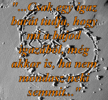 "...Csak egy igaz barát
 
"...Csak egy igaz barát tudja, hogy mi a bajod igazából, még akkor is, ha nem mondasz neki semmit..."